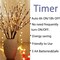 Lights with Timer Battery Operated Fairy Spirit Decorative Twig Tree Decorations for Home Living Room Vase Christmas (29inch, Auto 6H ON/18H Off, Warm White)